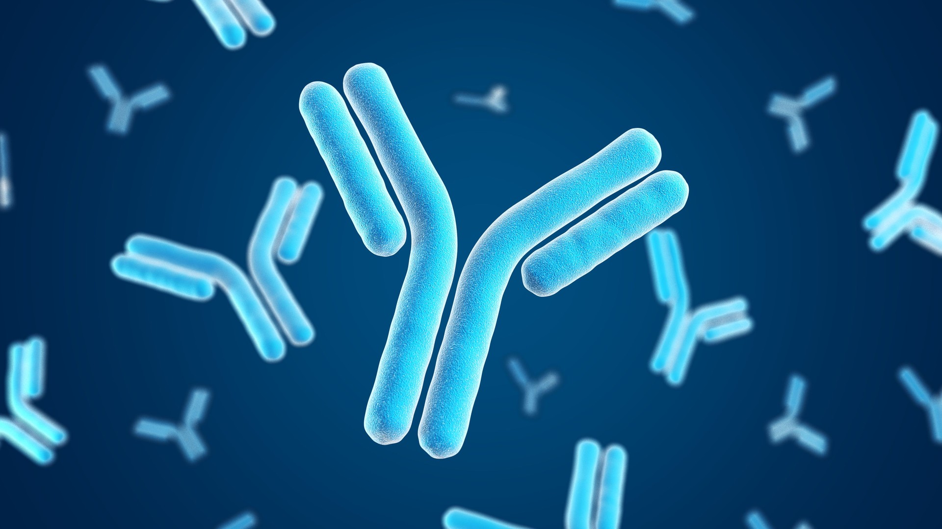 Antibodies. Immunoglobulins. Blue color.