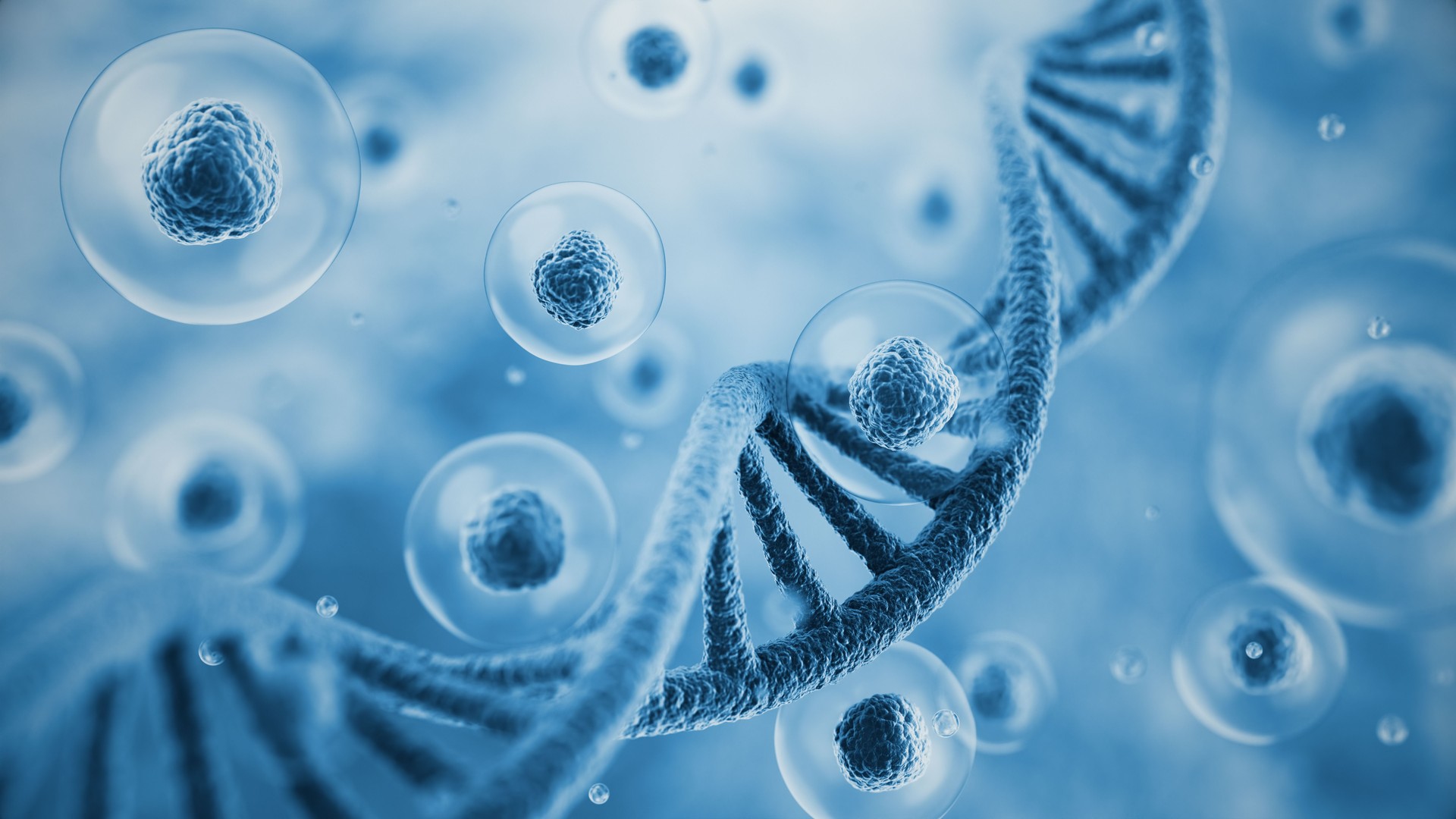 3d rendering Colorful DNA and flying Human cell or Embryonic stem cell on microscope background, Depth Of Field.